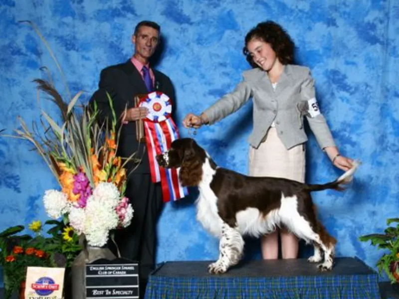 Karmadi puppy
